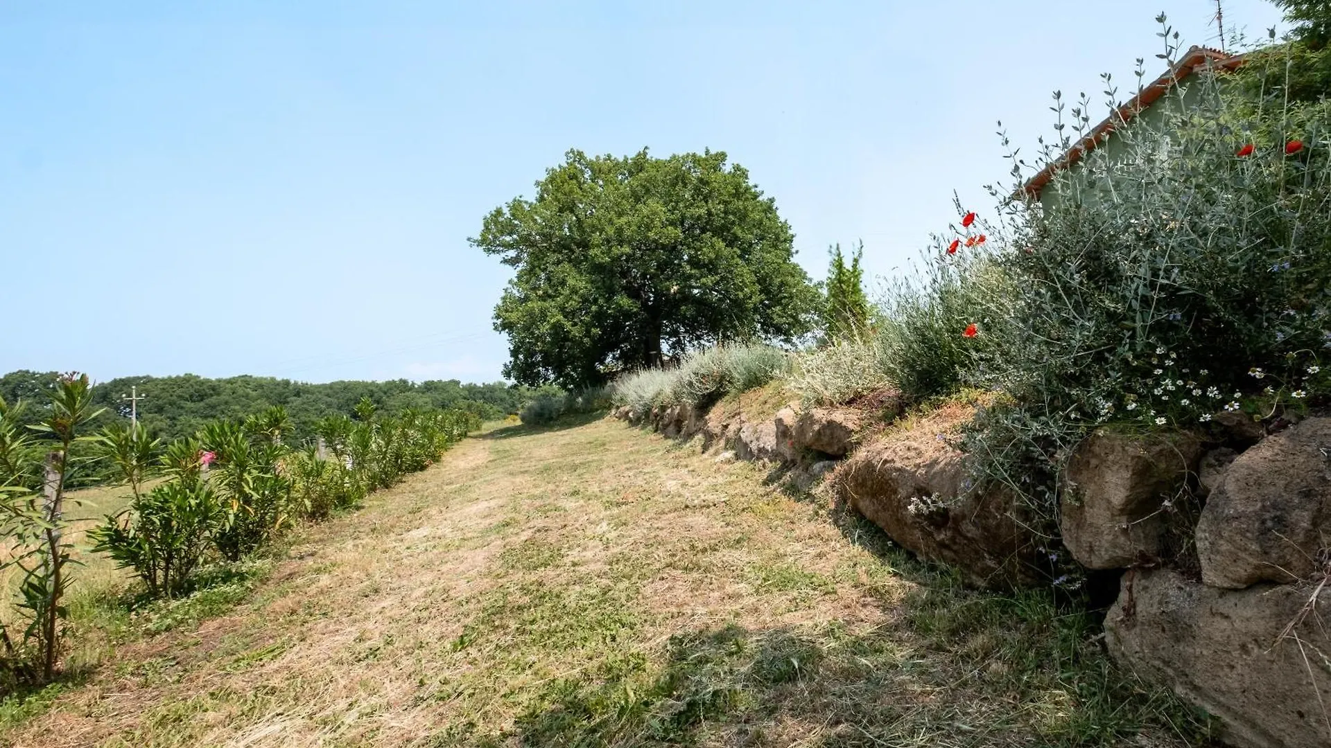 Agriturismo Bio Terre Di Naioli بيتيجليانو مزرعة للإقامة
