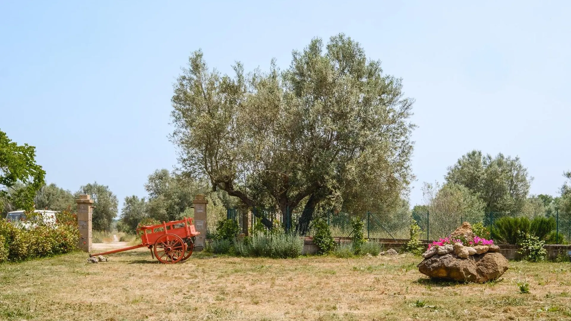Agriturismo Bio Terre Di Naioli Pitigliano Italia