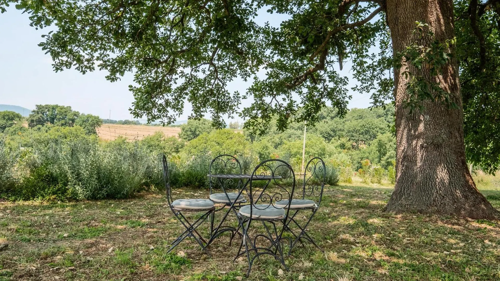 Alloggio per agriturismo Agriturismo Bio Terre Di Naioli Pitigliano Italia